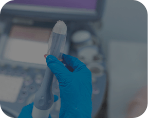 Ultrassom transvaginal
